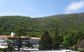 Apartment And Rooms Milena